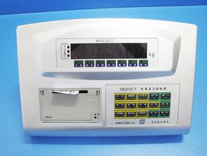 ���ش��Ǳ�